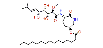 Bengamide B